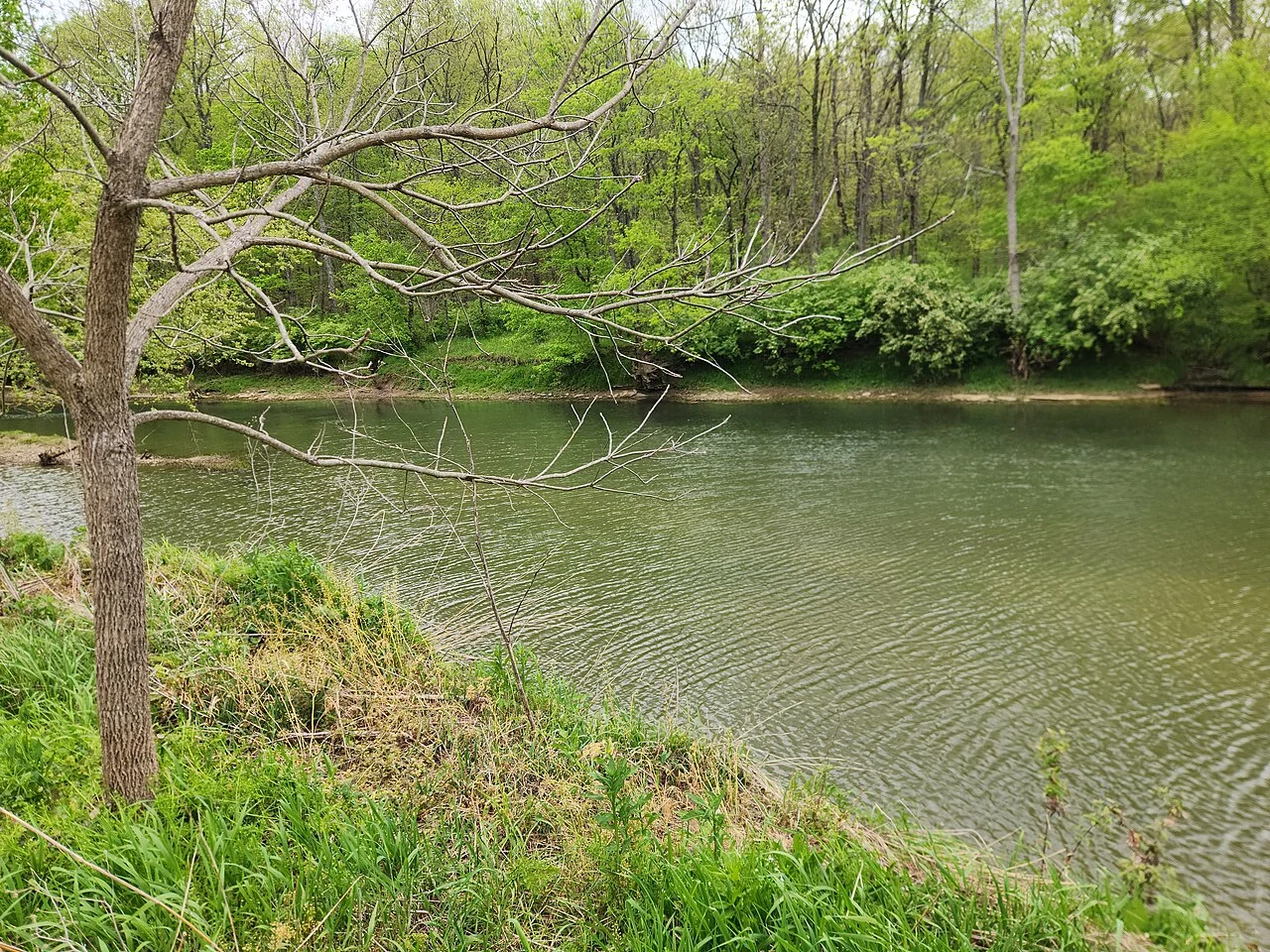 Floyds Fork at Pope Lick Park, Louisville