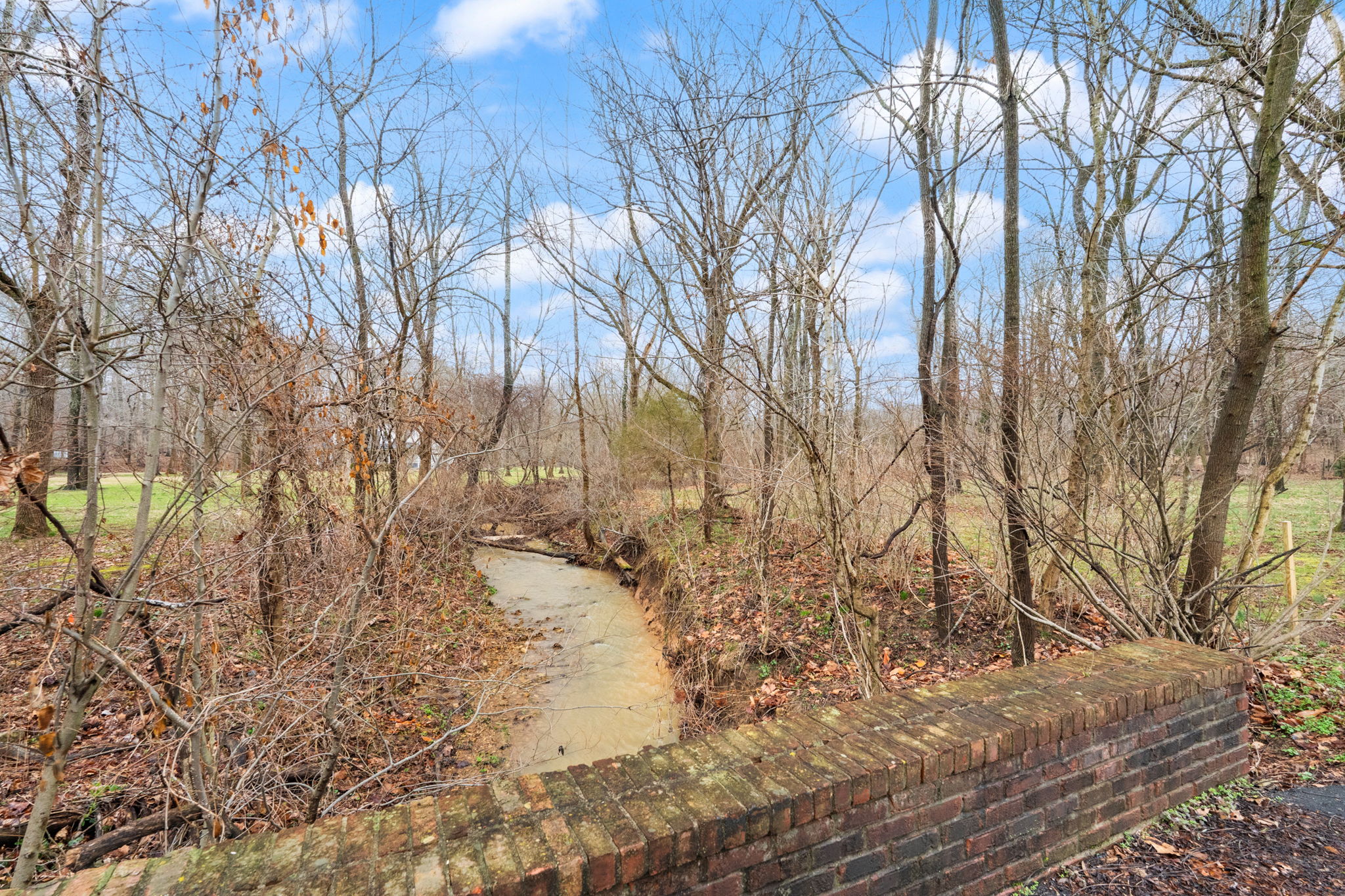 7474 Saddlebrook Court — Yard 5