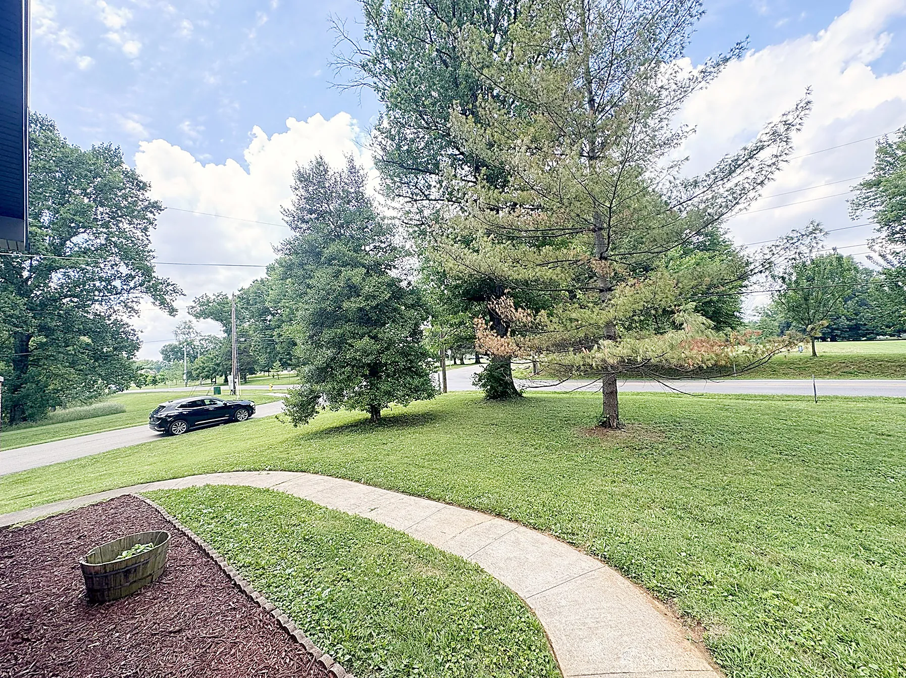 Joe Creason Park directly across the street, with mature trees and open parkland