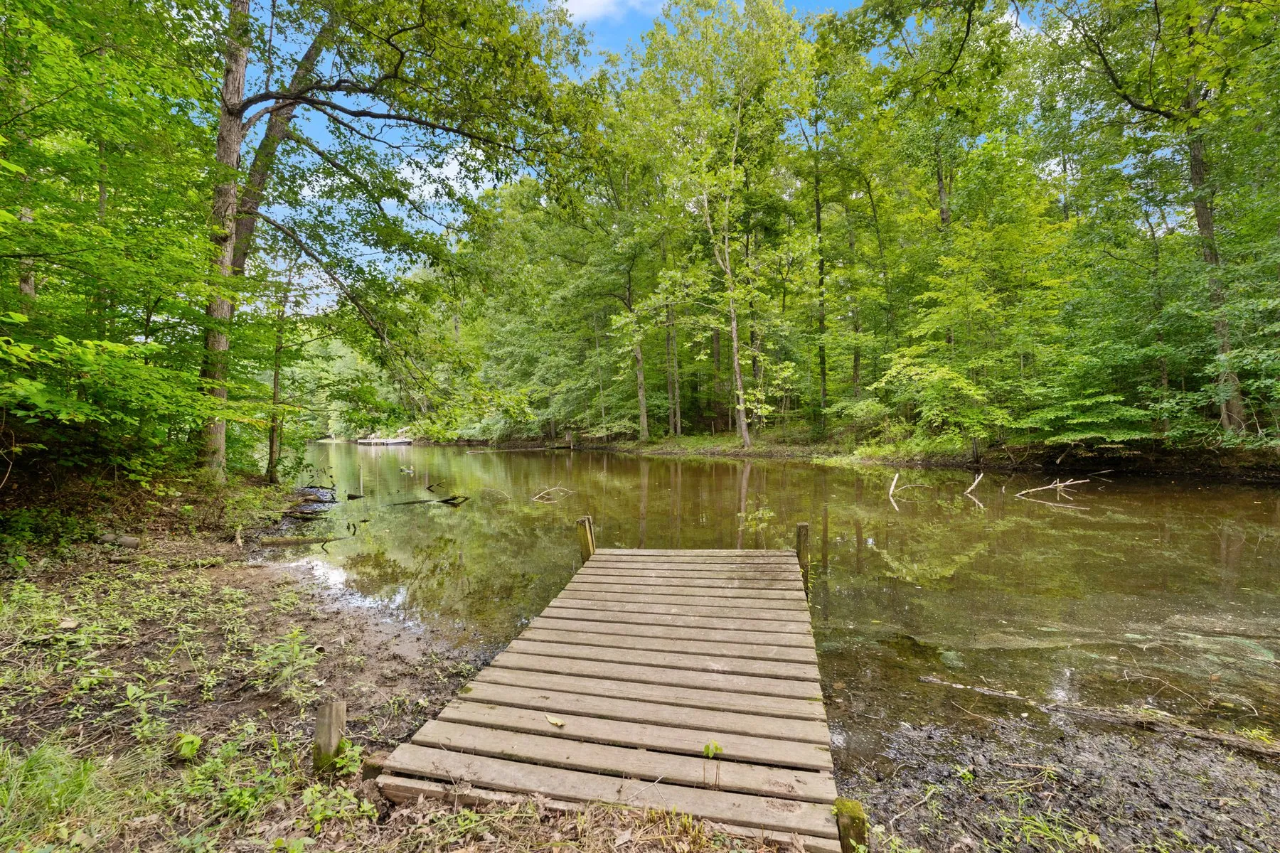 Private lake with a wood boat dock at the edge of the woods