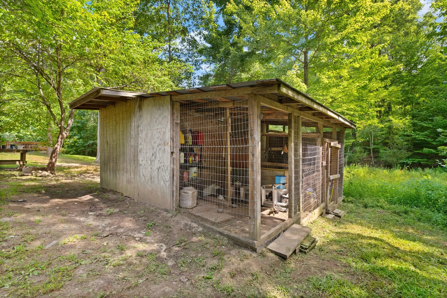 The coop