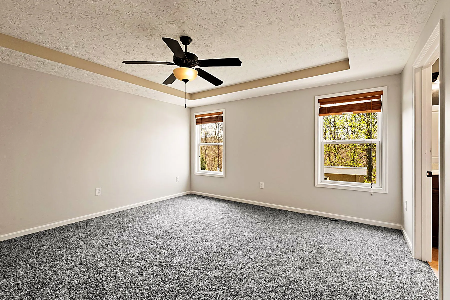 Main-level primary bedroom with a tray ceiling and large windows